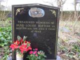 image of grave number 544311